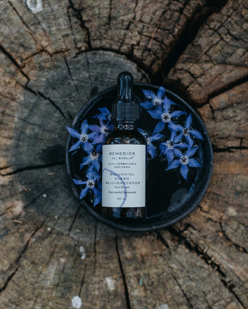 Suero Rejuvenecedor - Bakuchiol + Niacinamida